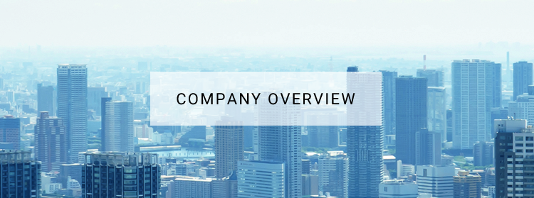 COMPANY OVERVIEW